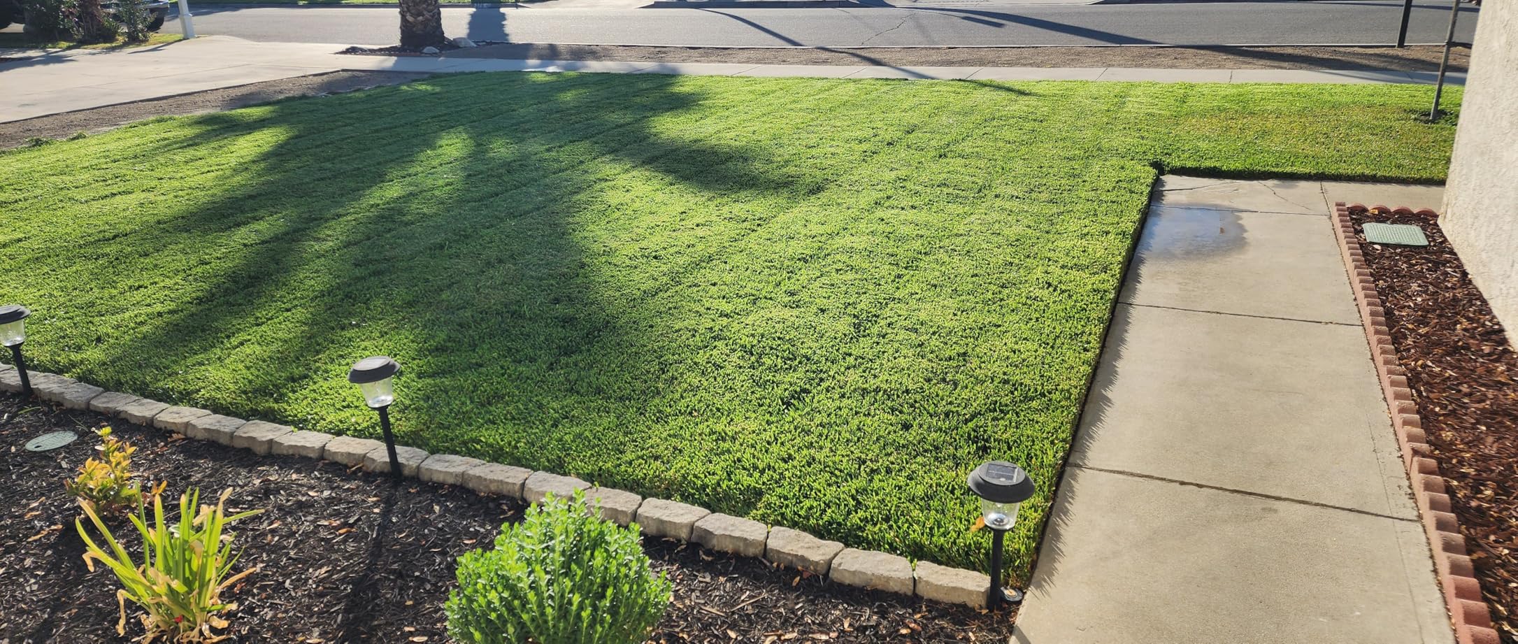 Advanced 16-4-8 Balanced NPK - Lawn Food Quality Liquid Fertilizer - Spring & Summer Concentrated Spray - Any Grass Type - Simple Lawn Solutions (32 Ounce) customer photo 2