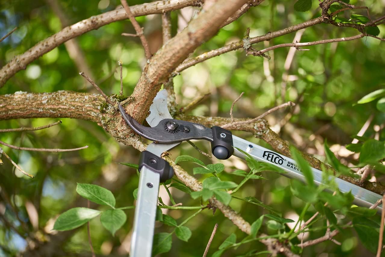 FELCO F211-60 Swiss Made Loppers for Gardening - 24