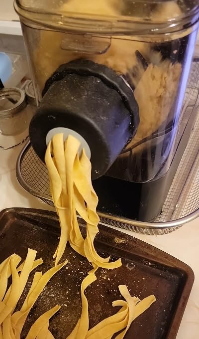 EMERIL LAGASSE Pasta & Beyond, Automatic Pasta Maker - 8 Pasta Shaping Discs customer photo 1