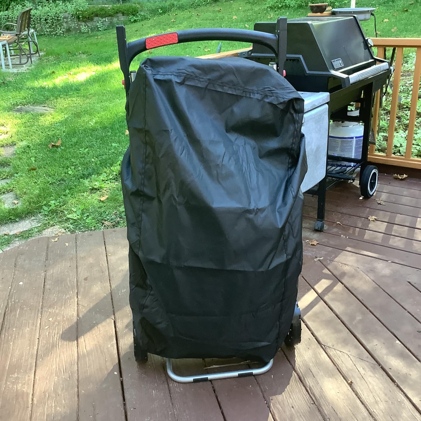 Weber Traveler Portable Liquid Propane Gas Grill for Camping and Travel customer photo 1