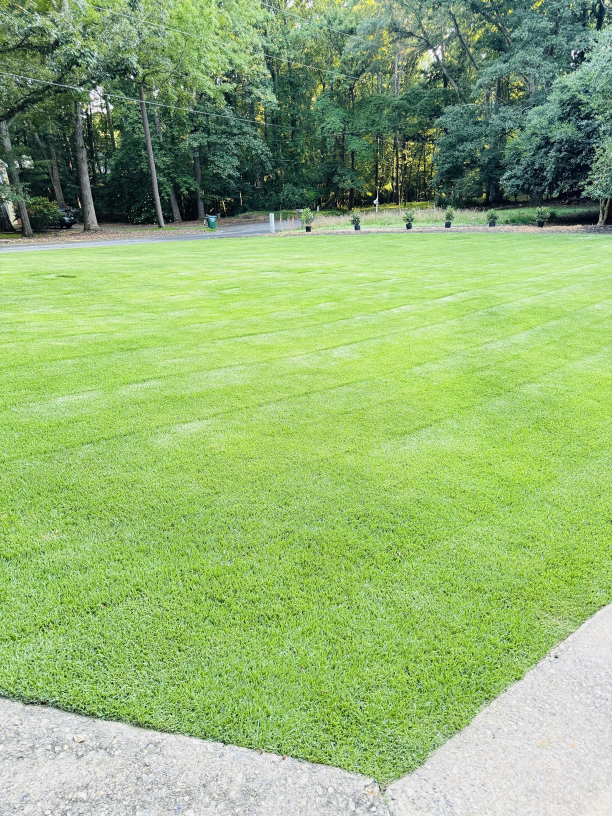 24-0-6 Flagship Granular Lawn Fertilizer with 3% Iron, Bio-Nite (18 lb Bag Covers 6,000 Square Feet) with 6% Potassium, Micronutrients and 24% Slow Release Nitrogen Fertilizer for Lawn Care customer photo 2