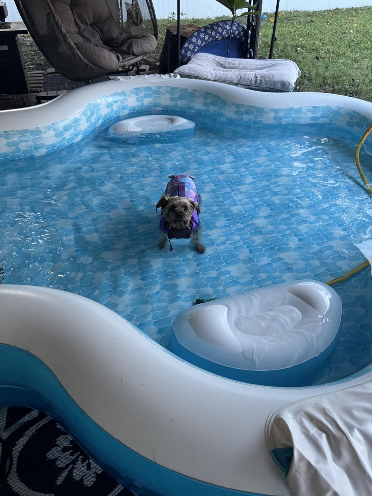 Members Mark Elegant Family Pool 10 Feet Long with 2 Inflatable Seats with Backrests customer photo 1