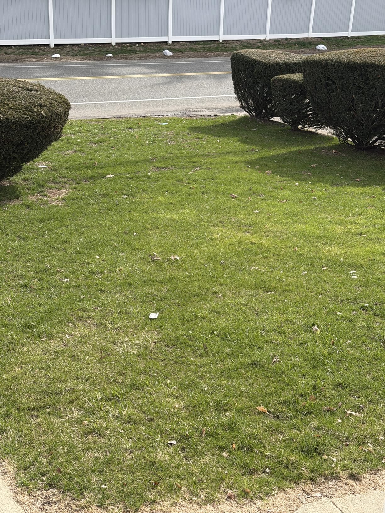 Scotts Turf Builder Weed and Feed5 - Weed Killer Plus Lawn Fertilizer, 33.95 lb., 12,000 sq. ft. customer photo 1
