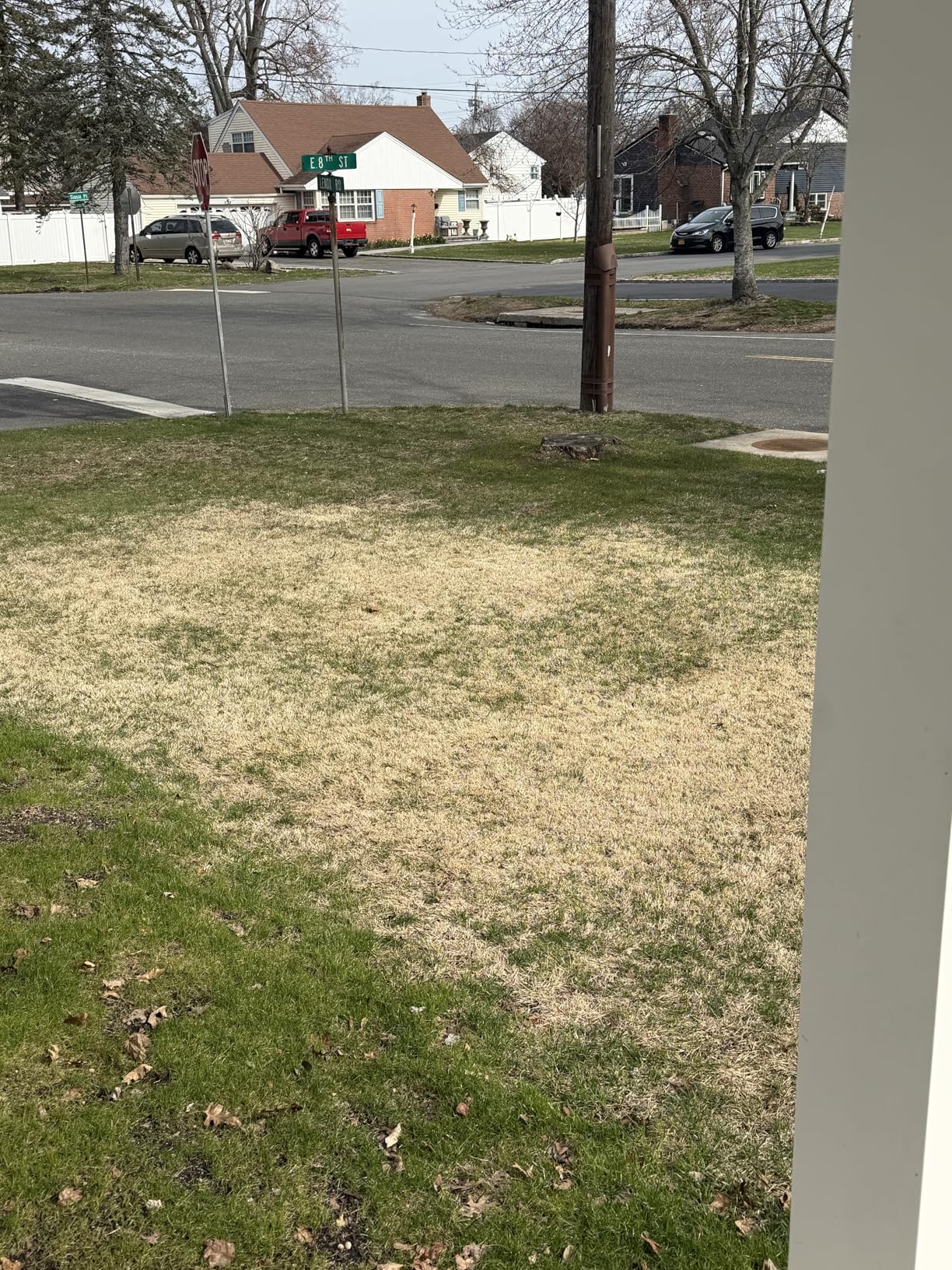 Scotts Turf Builder Weed and Feed5 - Weed Killer Plus Lawn Fertilizer, 33.95 lb., 12,000 sq. ft. customer photo 2