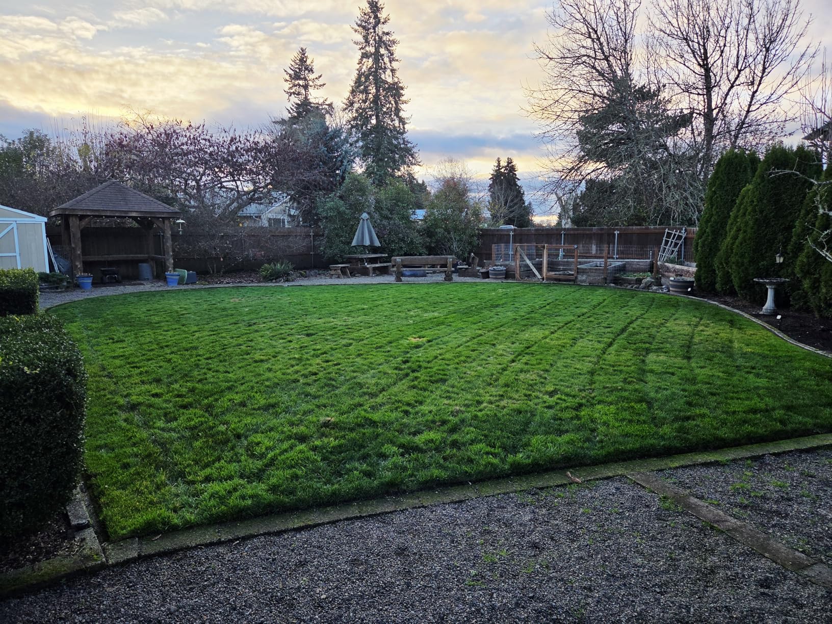 Scotts Turf Builder WinterGuard Fall Lawn Fertilizer for All Grass Types, 4,000 sq. ft., 10 lbs. customer photo 1