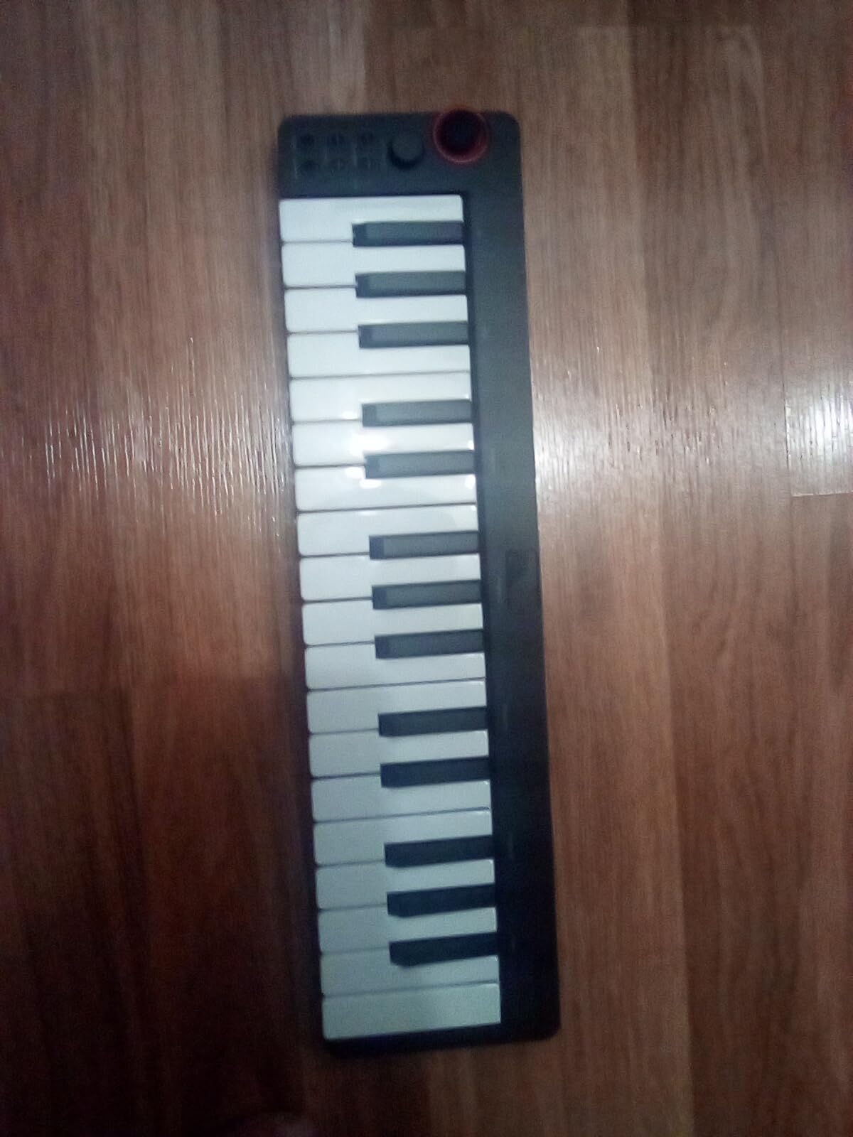 Donner Mini MIDI Keyboard, N-25 25 Key MIDI Controller for Beginner with Velocity-Sensitive Mini Keys and 40 Teaching Courses customer photo 1