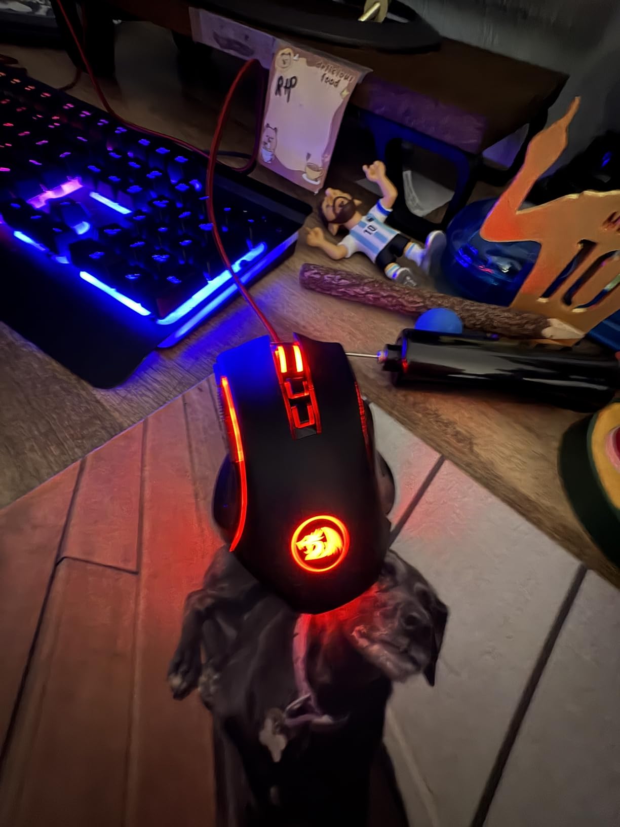 Redragon M602 Griffin RGB Gaming Mouse, RGB Spectrum Backlit Ergonomic Mouse with 7 Programmable Backlight Modes up to 8000 DPI for Windows PC Gamers (Black, Wireless) customer photo 2